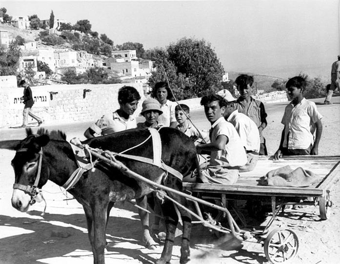 New immigrant youth, Israel, 1950s