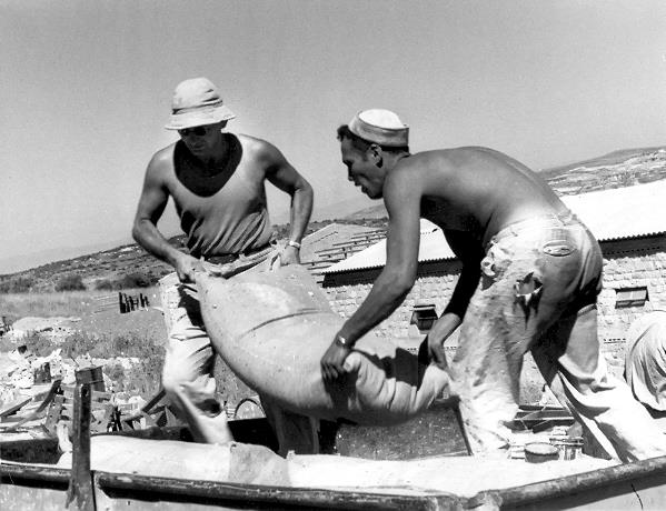 Two young men loading sacks on a tractor, Kibbutz Sasa, Israel, 1950s Two young men loading sacks on a tractor, Kibbutz Sasa, Israel, 1950s