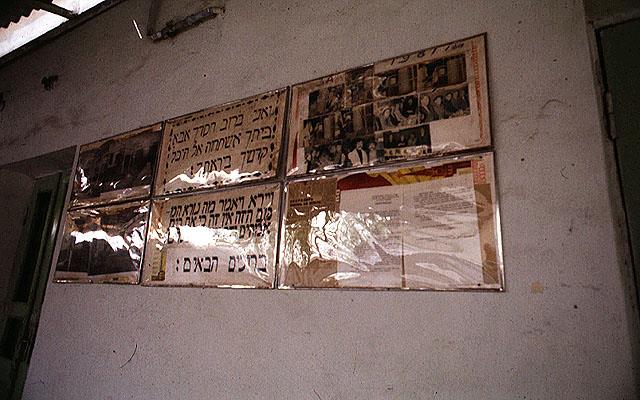 An Exhibition in the Synagogue Courtyard, Tashkent, Uzbekistan, 1983