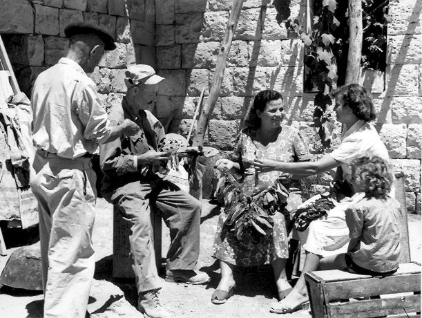 Family stringing tobacco leaves, Moshav Alma, Israel, 1950s Family stringing tobacco leaves, Moshav Alma, Israel, 1950s