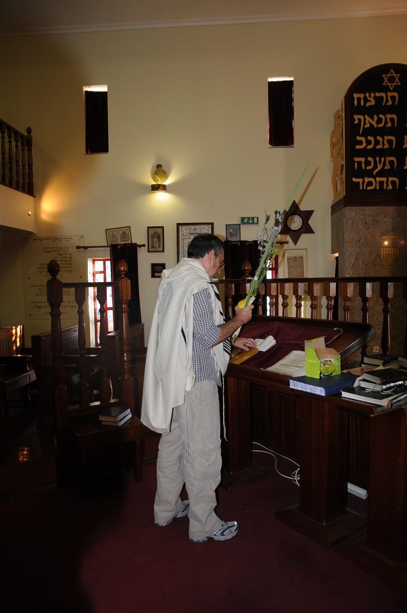 יעקב בריל מברך על הלולב והאתרוג בבית הכנסת "בית אליהו", בלמונטה, פורטוגל, סוכות 2009 יעקב בריל מברך על הלולב והאתרוג בבית הכנסת "בית אליהו", בלמונטה, פורטוגל, סוכות 2009